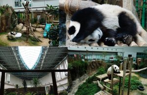 Zoo Negara - Harga Tiket, DISKAUN 10%, Tarikan PALING BEST ...