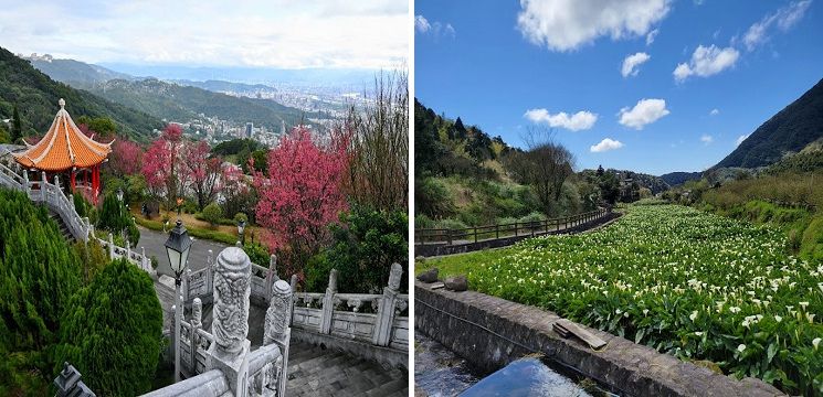 Yangmingshan National Park