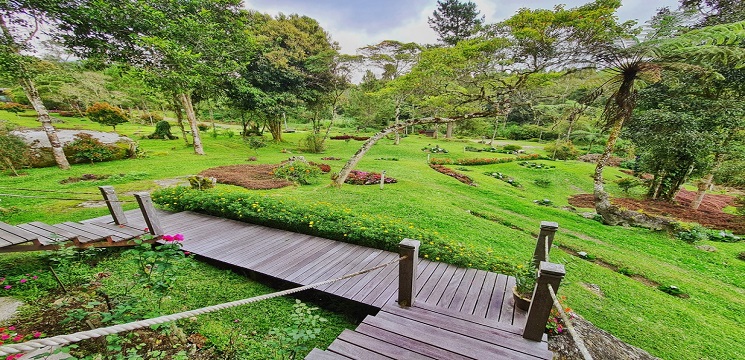 Spring Garden Kundasang