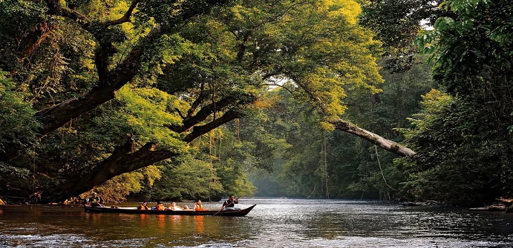 Taman Negara, Pahang