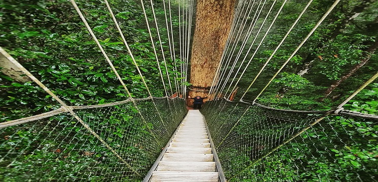 Taman Negara, Pahang