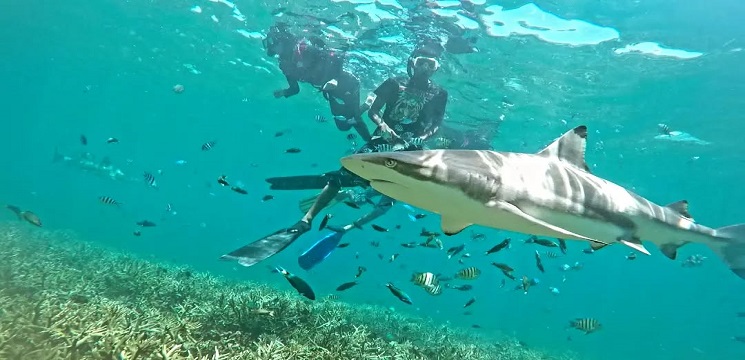 Pulau Perhentian