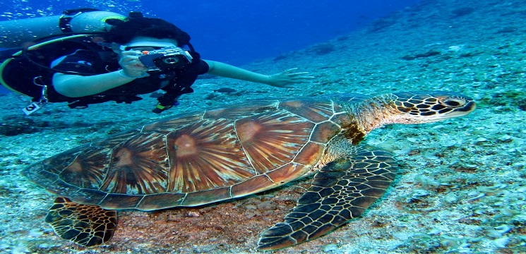 Pulau Redang, Terengganu