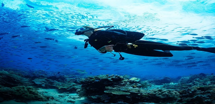 Pulau Tioman, Pahang