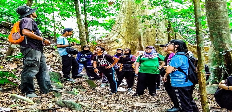 Trekking di Hutan Royal Belum