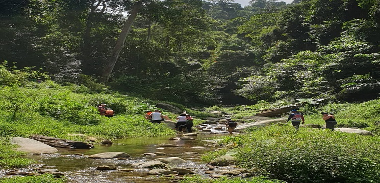 jungle trekking